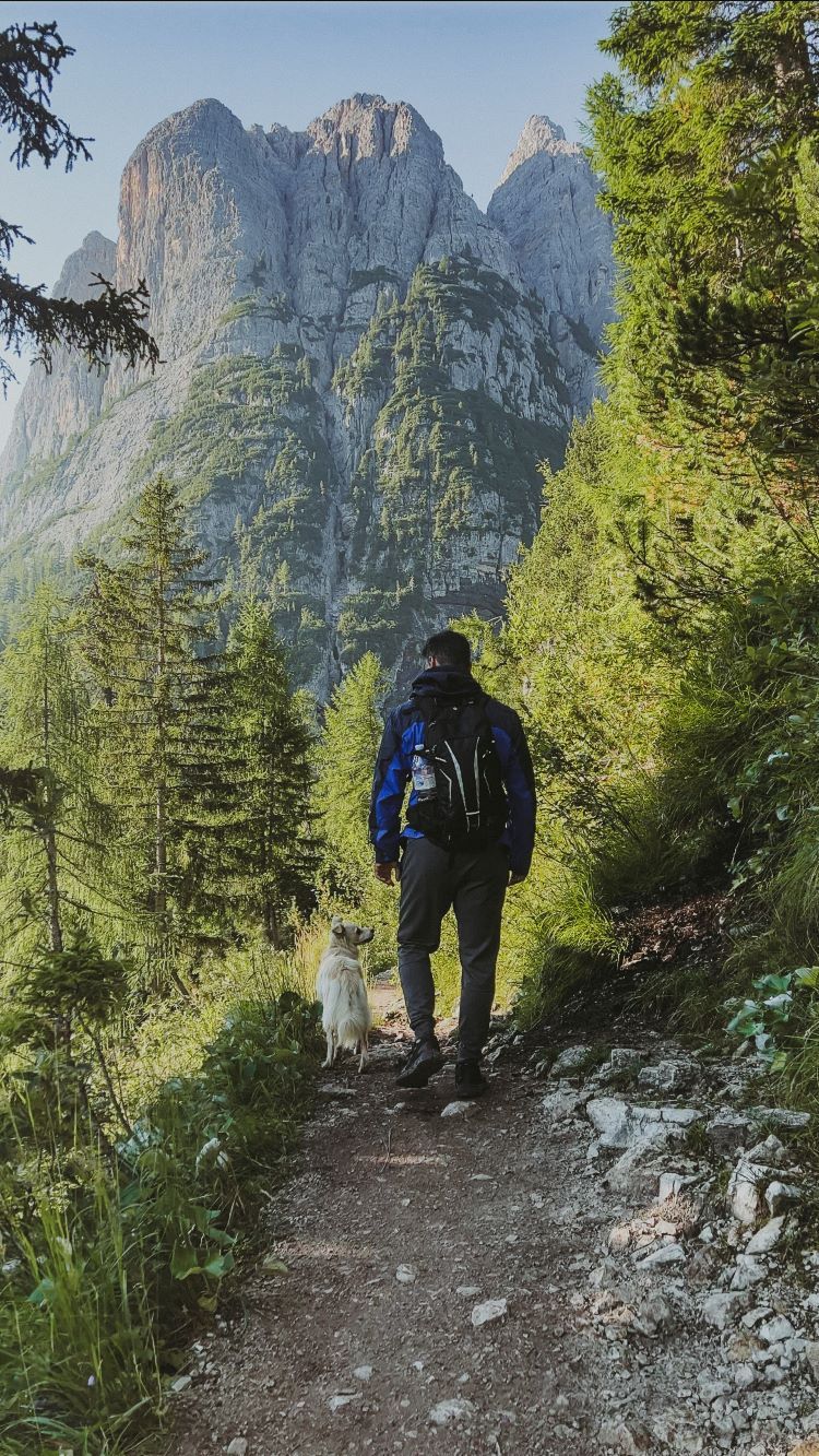 camino de tierra chico de espaldas con mochila y perro pequeño rubio caminado en por el bosque con montañas de fondo lago sorapiss